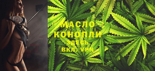 гидра Верхний Тагил