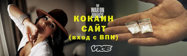 гидра Верхний Тагил