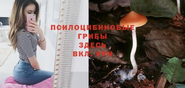 COCAINE Богданович