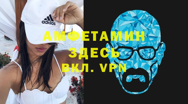 гидра Верхний Тагил