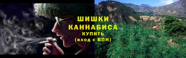 тгк Верея