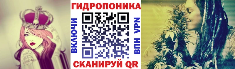 Каннабис сатива Кедровый